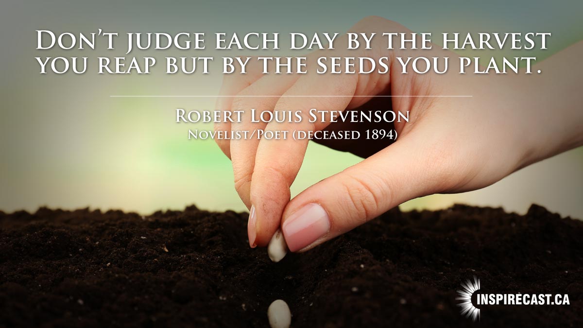 Robert Louis Stevenson Dont judge each day by the harvest you reap but by the seeds you plant