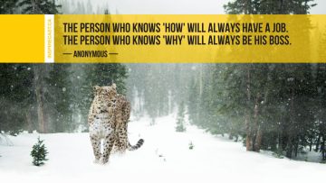The person who knows 'how' will always have a job. The person who knows 'why' will always be his boss. ~ Anonymous