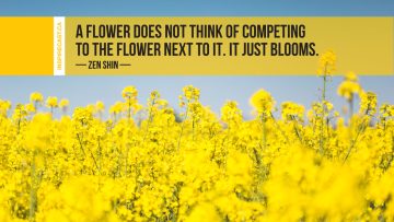 A flower does not think of competing to the flower next to it. It just blooms. ~ Zen Shin