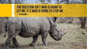 The question isn't who is going to let me; it's who is going to stop me. ~ Ayn Rand