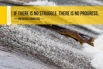 If there is no struggle, there is no progress. ~ Frederick Douglass