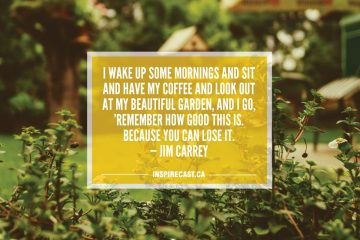 I wake up some mornings and sit and have my coffee and look out at my beautiful garden, and I go, 'Remember how good this is. Because you can lose it. — Jim Carrey