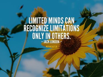 Limited minds can recognize limitations only in others. - Jack London